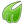 Midori